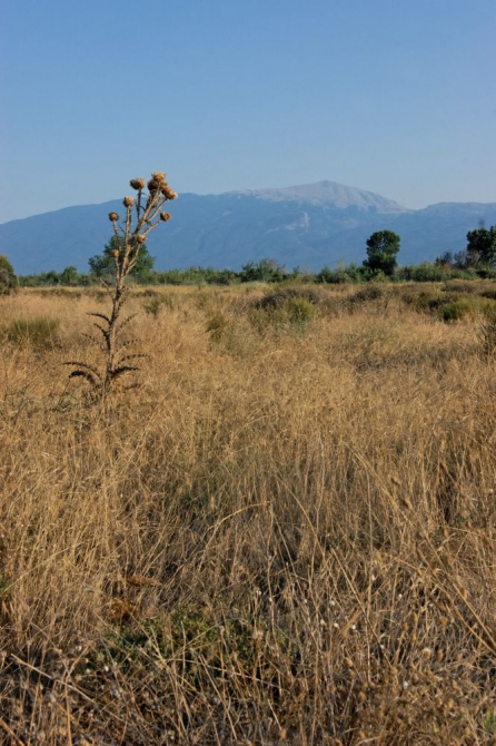 Гора Kissavos. Как легкая прогулка стала серьезным испытанием. (Горный туризм, стресс, высота)