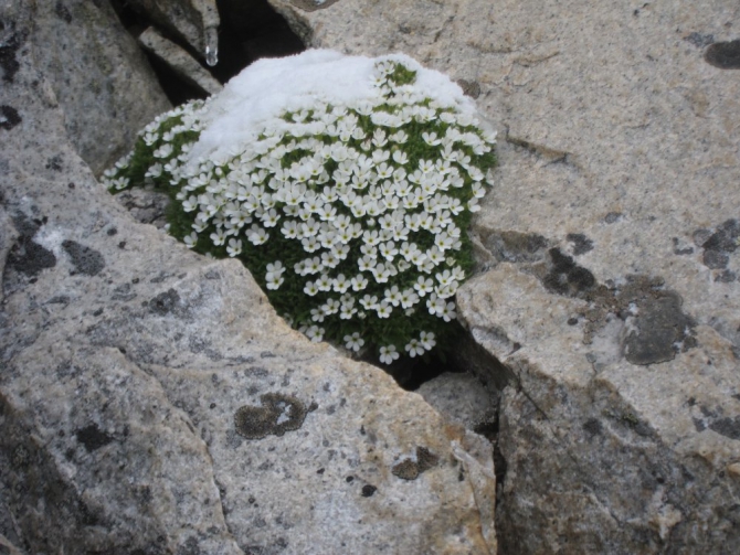 На Маттерхорн с Сергеем Ковалевым (Альпинизм, вертикаль-тур, альпы, сергей ковалев, альпинизм)