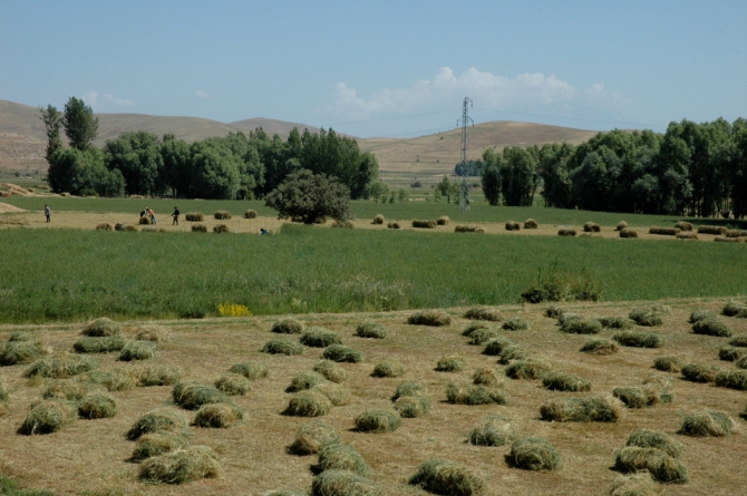 Велопоход по Турции, часть 1: озеро Ван и вулкан Сюпхан (Путешествия, турция, арарат, горы)