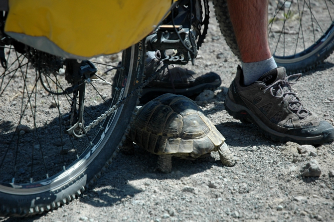 Велопоход по Турции, часть 1: озеро Ван и вулкан Сюпхан (Путешествия, турция, арарат, горы)