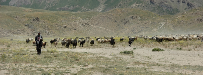 Велопоход по Турции, часть 1: озеро Ван и вулкан Сюпхан (Путешествия, турция, арарат, горы)