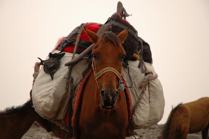 Велопоход по Турции, часть 2: Арарат (Альпинизм, горы, турция)