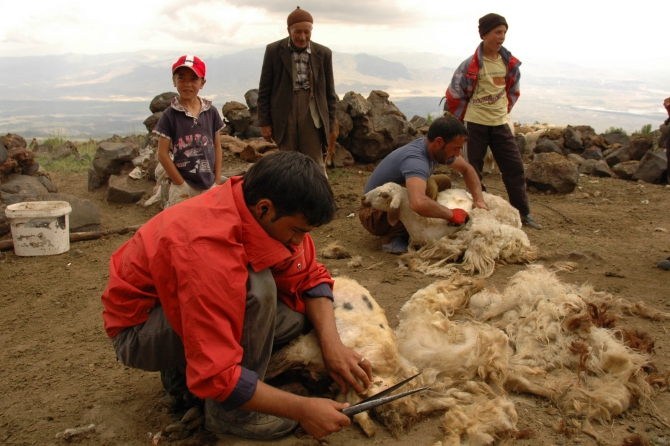 Велопоход по Турции, часть 2: Арарат (Альпинизм, горы, турция)