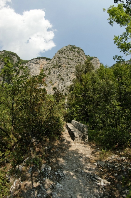 Фотоальбом "Дорога в облака". (Горный туризм, mitikas, e4, митикас, olimpus, сколио, олимп, skala, греция, скала, greece, skolio)