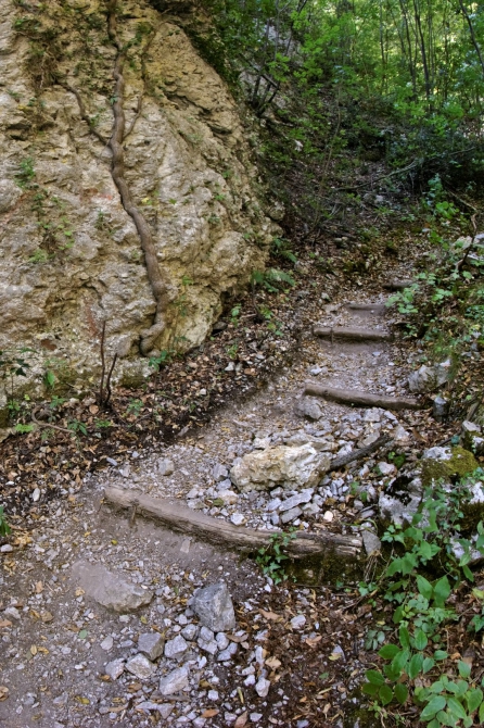 Фотоальбом "Дорога в облака". (Горный туризм, mitikas, e4, митикас, olimpus, сколио, олимп, skala, греция, скала, greece, skolio)