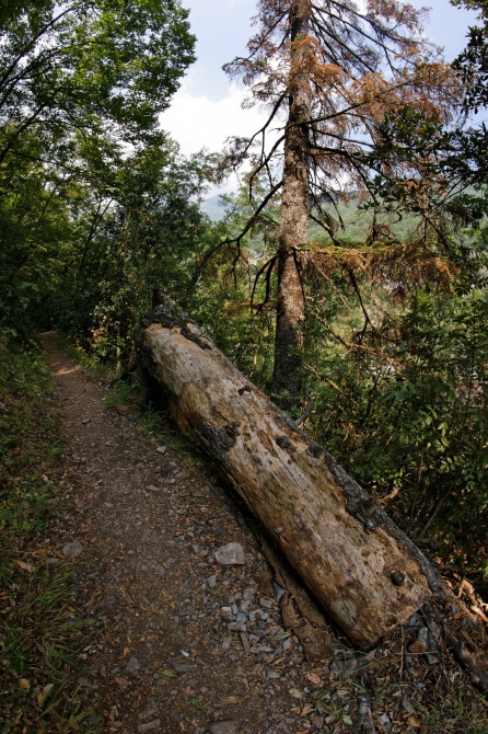 Фотоальбом "Дорога в облака". (Горный туризм, mitikas, e4, митикас, olimpus, сколио, олимп, skala, греция, скала, greece, skolio)