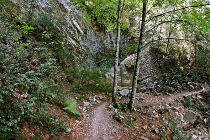 Фотоальбом "Дорога в облака". (Горный туризм, mitikas, e4, митикас, olimpus, сколио, олимп, skala, греция, скала, greece, skolio)