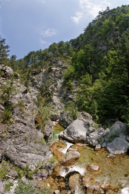 Фотоальбом "Дорога в облака". (Горный туризм, mitikas, e4, митикас, olimpus, сколио, олимп, skala, греция, скала, greece, skolio)