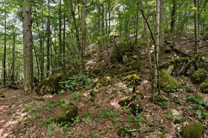 Фотоальбом "Дорога в облака". (Горный туризм, mitikas, e4, митикас, olimpus, сколио, олимп, skala, греция, скала, greece, skolio)