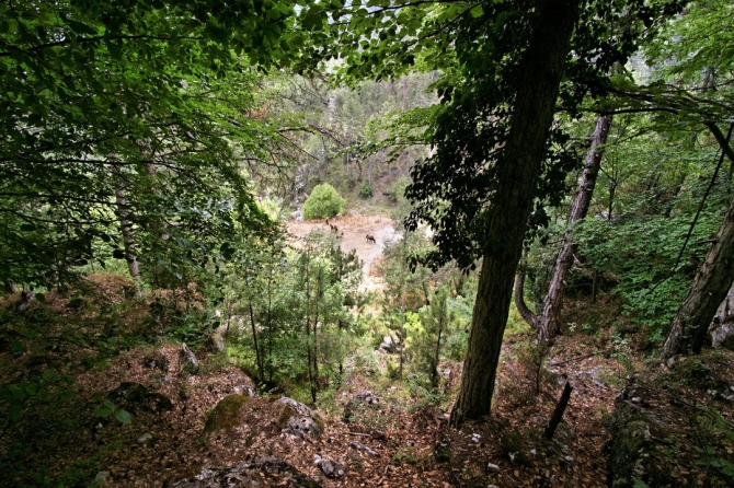Фотоальбом "Дорога в облака". (Горный туризм, mitikas, e4, митикас, olimpus, сколио, олимп, skala, греция, скала, greece, skolio)