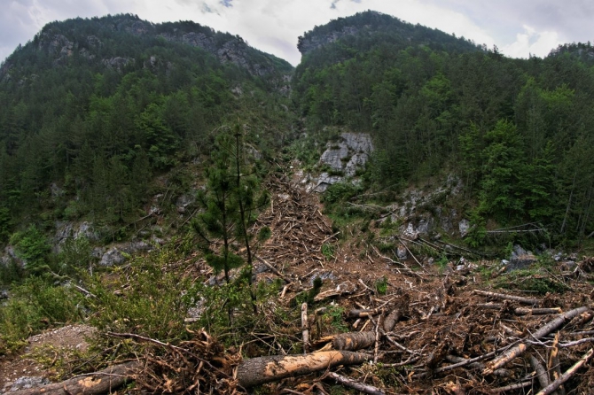 Фотоальбом "Дорога в облака". (Горный туризм, mitikas, e4, митикас, olimpus, сколио, олимп, skala, греция, скала, greece, skolio)