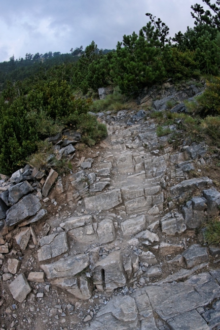 Фотоальбом "Дорога в облака". (Горный туризм, mitikas, e4, митикас, olimpus, сколио, олимп, skala, греция, скала, greece, skolio)