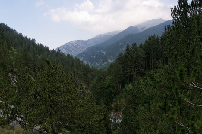 Фотоальбом "Дорога в облака". (Горный туризм, mitikas, e4, митикас, olimpus, сколио, олимп, skala, греция, скала, greece, skolio)