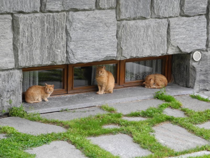 Много букв про мало гор. Или снова про настоящий альпинизм...