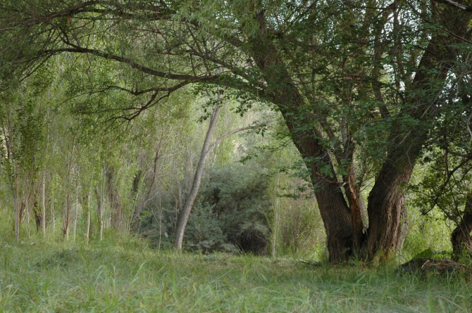 Велопоход по Турции, часть 3: путешествие из Арзрума (Путешествия, турция)