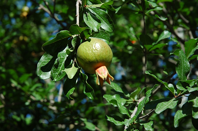 Велопоход по Турции, часть 3: путешествие из Арзрума (Путешествия, турция)