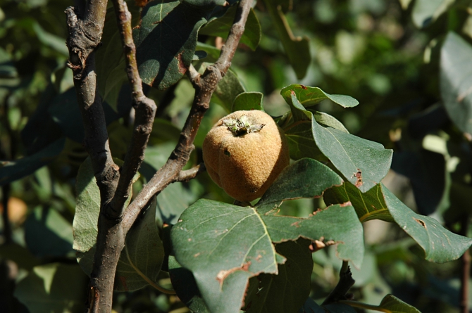 Велопоход по Турции, часть 3: путешествие из Арзрума (Путешествия, турция)