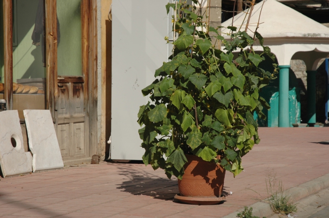 Велопоход по Турции, часть 3: путешествие из Арзрума (Путешествия, турция)