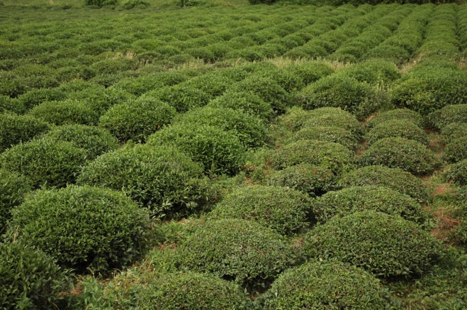 Велопоход по Турции, часть 3: путешествие из Арзрума (Путешествия, турция)