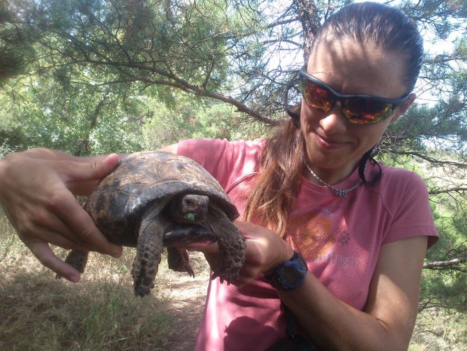 Перезимовать лето. Дахабский горный клуб в Сванетии. (Альпинизм, сванетия, ушба, тетнульд, санта катерина)