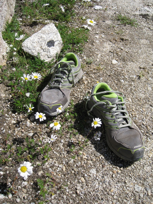 Мультигоночные кроссовки Inov-8 Roclite 275 GTX на мультигонке и в горах (подходы в горах, мультигонки)