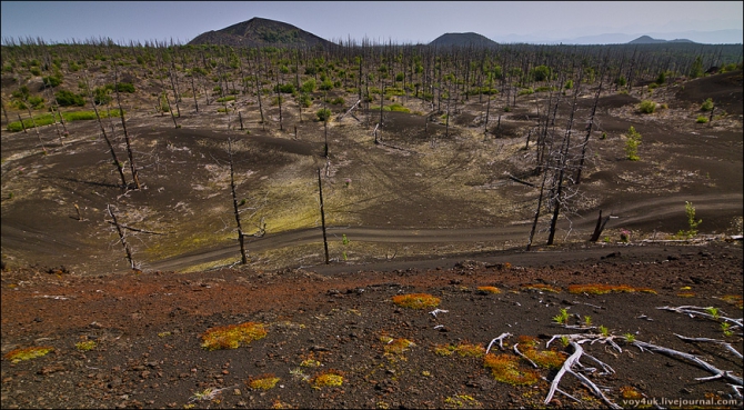 Камчатка. Где-то на краю света. (Путешествия, бтти, безымянный, быстрая малкинская, ключевская группа вулканов, ключевской парк, ленинградка, марс, мёртвый лес, северные прорывы, толбачик, толбачинское кольцо, вулканы, мини долина гейзеров)