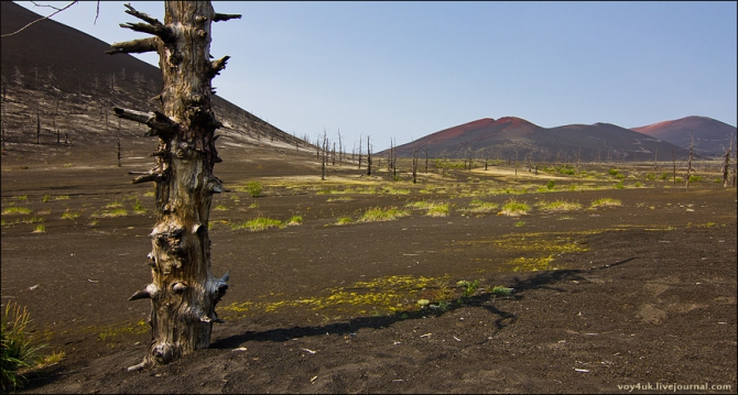 Камчатка. Где-то на краю света. (Путешествия, бтти, безымянный, быстрая малкинская, ключевская группа вулканов, ключевской парк, ленинградка, марс, мёртвый лес, северные прорывы, толбачик, толбачинское кольцо, вулканы, мини долина гейзеров)