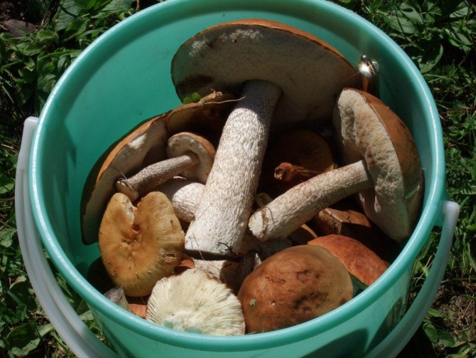 Кышкаджер. Воплощение мечты (как два солиста сыграли дуэтом). (Альпинизм, эпчик, юмор, кичкинясу)