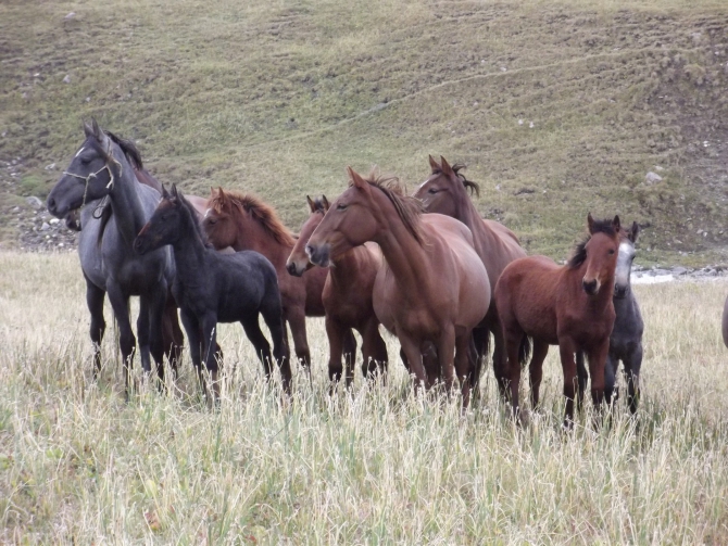 Забытый Терскей. Часть 1. (Горный туризм, ледопад, гадкий утенок, туманный, конурулен, красных, западная часть)