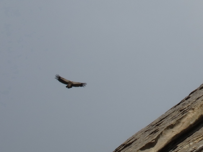 4810. Пока незачёт. (Альпинизм, альпиндустрия, венто, фаисм, нпф баск)