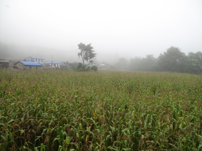 Экспедиция на Аннапурну. В пути (Альпинизм, клуб имени рацека, ташкент, аннапурна, гималаи)