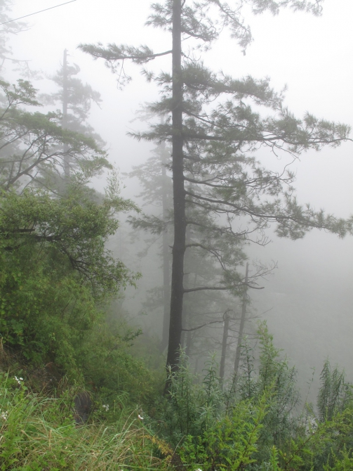 Экспедиция на Аннапурну. В пути (Альпинизм, клуб имени рацека, ташкент, аннапурна, гималаи)