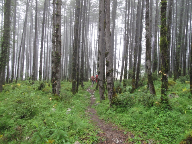 Экспедиция на Аннапурну. В пути (Альпинизм, клуб имени рацека, ташкент, аннапурна, гималаи)