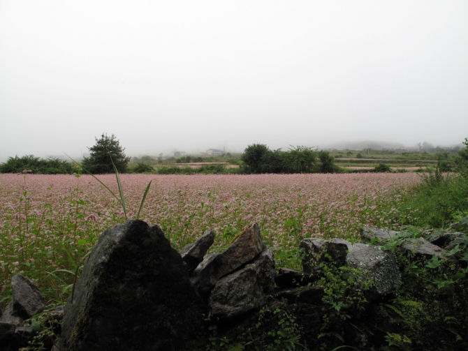 Экспедиция на Аннапурну. В пути (Альпинизм, клуб имени рацека, ташкент, аннапурна, гималаи)