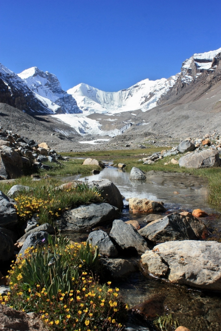 Памирские беглецы (Альпинизм, каракуль, зорташ, пик советских офицеров, восточный памир, музкол, маи)