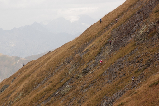 Определены обладатели Кубка России по скайраннингу (ачабаев, королятина, сахарный марафон, кубок россии, красная поляна)