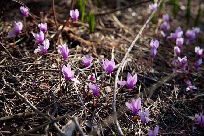 Метеора: к вершинам духа (Альпинизм, скалолазание)