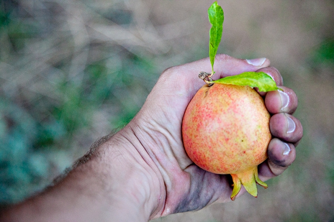 Метеора: к вершинам духа (Альпинизм, скалолазание)