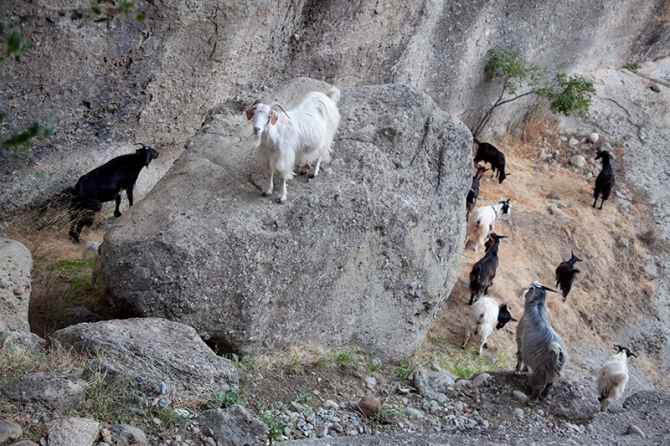 Метеора: к вершинам духа (Альпинизм, скалолазание)