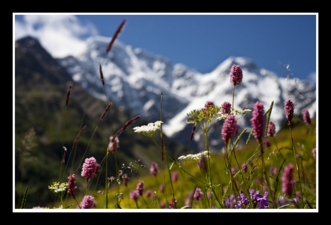 КАЗБЕК- ЭЛЬБРУС..июльский дуплет ФОТО-ВАРИАНТ отчёта (Альпинизм, альпинизм, чегет, восхождение, лиза паль, терскол, вершина, игорь комаров, иком, казбеги, дарьяльское ущелье, гергетский ледник)