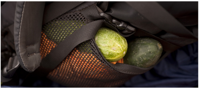 КАЗБЕК- ЭЛЬБРУС..июльский дуплет ФОТО-ВАРИАНТ отчёта (Альпинизм, альпинизм, чегет, восхождение, лиза паль, терскол, вершина, игорь комаров, иком, казбеги, дарьяльское ущелье, гергетский ледник)