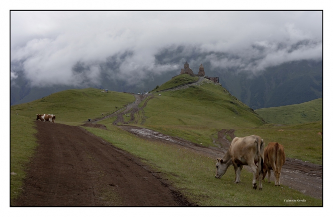 КАЗБЕК- ЭЛЬБРУС..июльский дуплет ФОТО-ВАРИАНТ отчёта (Альпинизм, альпинизм, чегет, восхождение, лиза паль, терскол, вершина, игорь комаров, иком, казбеги, дарьяльское ущелье, гергетский ледник)