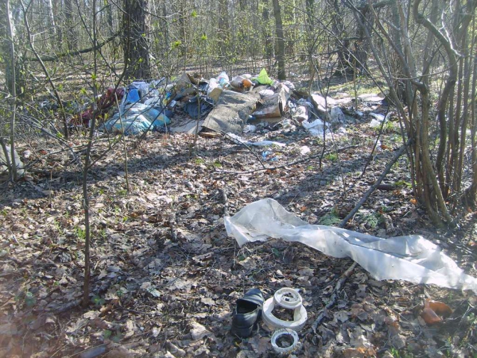 Очистим Измайловский парк! В субботу, 21-го апреля. (wwf, субботник, рог)