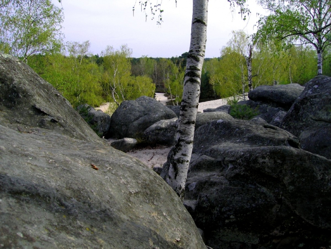 Fontainebleau 2007, фотовпечатления из мыльницы... (Скалолазание, фонтенбло, болдеринг, франция, dav-club-russland)