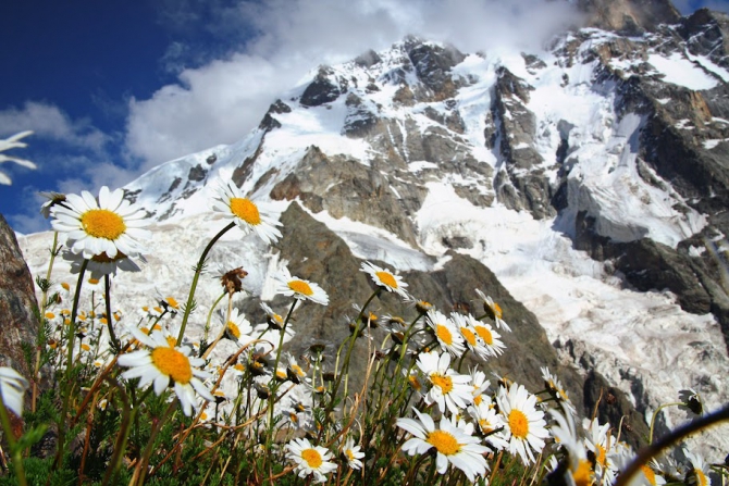 Сванетия - Казбеги. Фотоотчет. (Альпинизм, ушба, грузия, казбек)