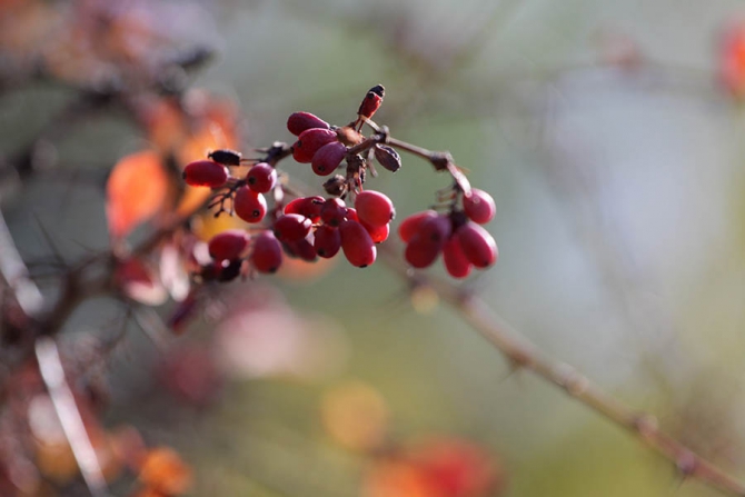 Про Чемпионат мира в Крыму! Много. С фото и интервью:))), Альпинизм, соревнования, горы, репортаж, малые горы, скальный класс)