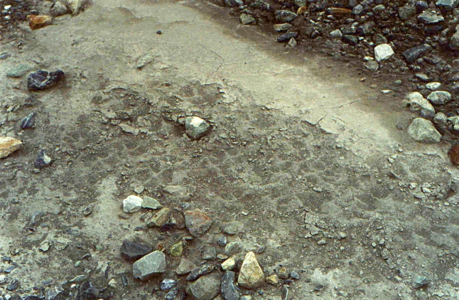Овражинг на Сауксае или еще один вид экстремальной активности. (Альпинизм, минджар, кузгун, сауксай, пик ленина, маи)