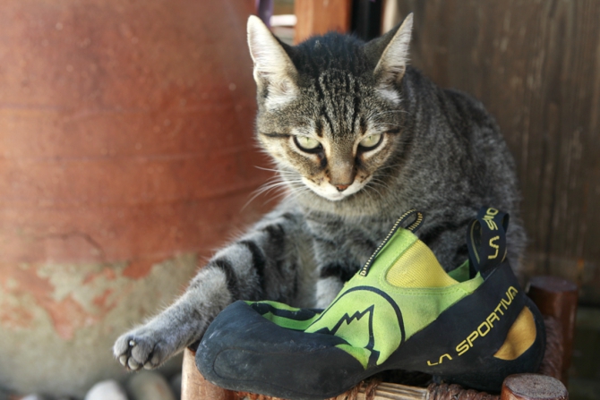 «Ещё раз про ...» (Скалолазание, la sportiva, no-edge, speedster, futura)