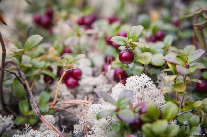 Байкал и Прибайкалье. Лето 2012. Фото. (Путешествия, саяны, север, отдых, ольхон, песчанка, долина вулканов)