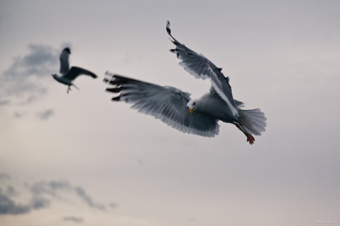 Байкал и Прибайкалье. Лето 2012. Фото. (Путешествия, саяны, север, отдых, ольхон, песчанка, долина вулканов)